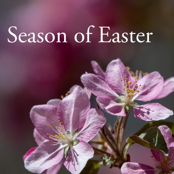 Easter-Season-2-scaled